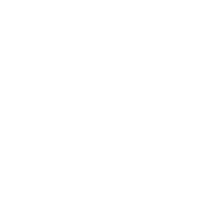 Browlady footer Logo